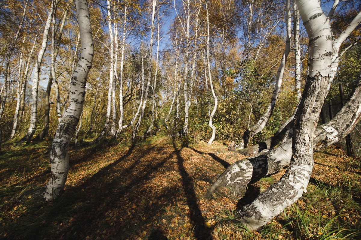 Burabay National Park - Borovoe and Chebache Lakes in Kazakhstan-2