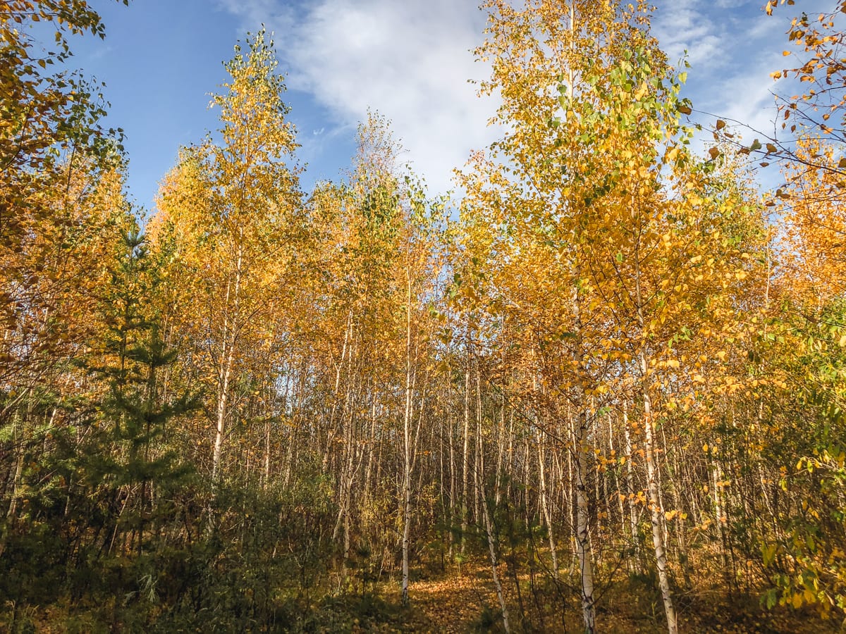 Burabay National Park - Borovoe and Chebache Lakes in Kazakhstan-28