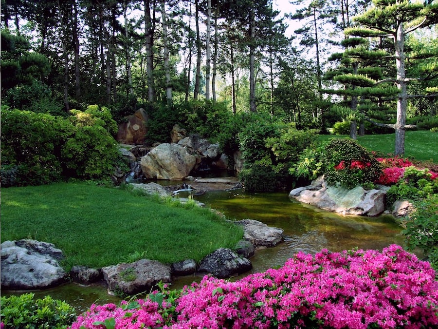 japanese gardens in dusseldorf