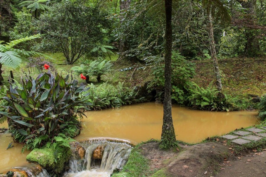 terra nostra botanical garden in azores