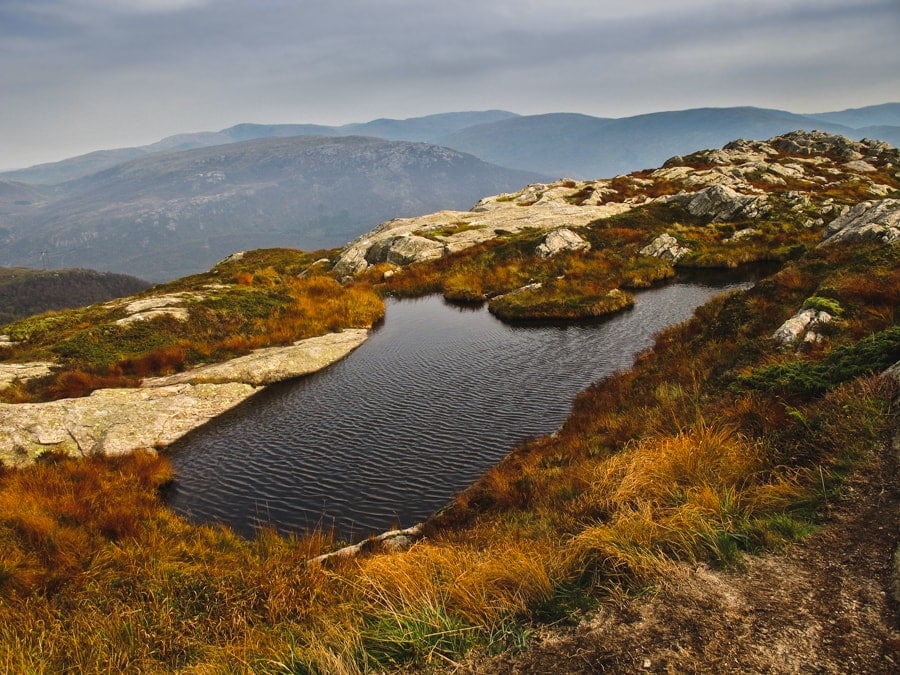 Photo from autumn on the Vidden trail