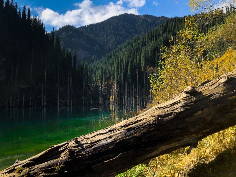 Lake Kaindy and Kolsai Lakes in Kazakhstan -12-min