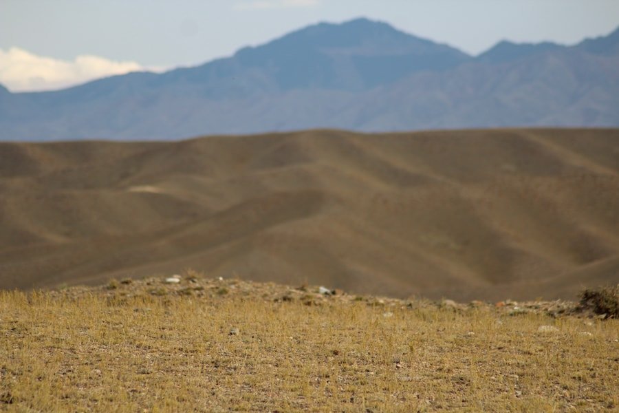 canyons and desert in kazakhstan on the way to kaindy lake