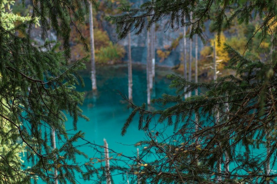 Lake Kaindy and Kolsai Lakes in Kazakhstan -6-min