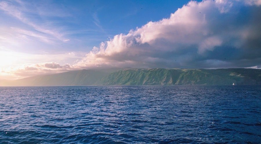 BEST WHALE WATCHING TOURS IN THE AZORES