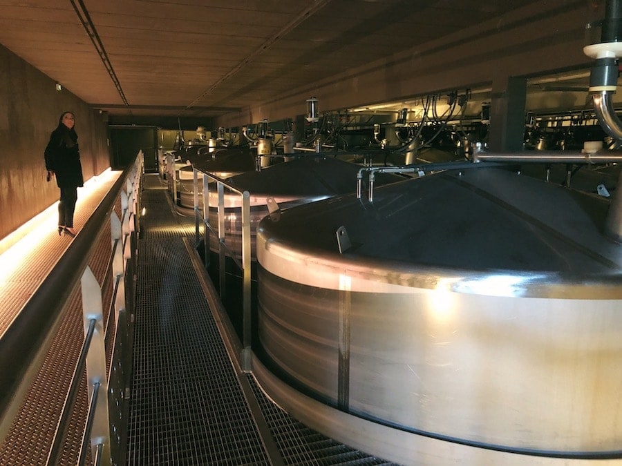 on a champagne tour from paris