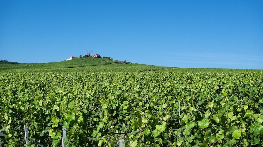 reims countryside in champagne france