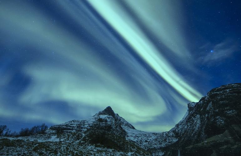 whale watching in tromsø under northern lights