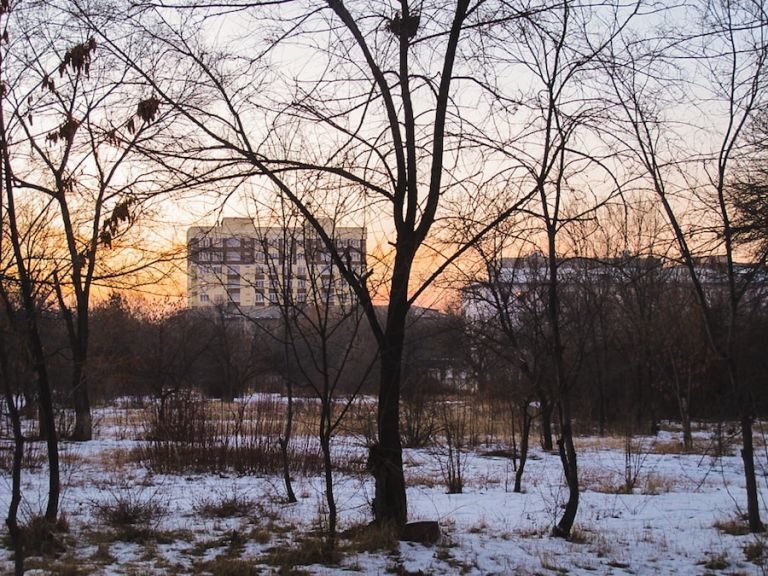 Bishkek's 10th Microdistrict Nostalgia From the First Place I Visited