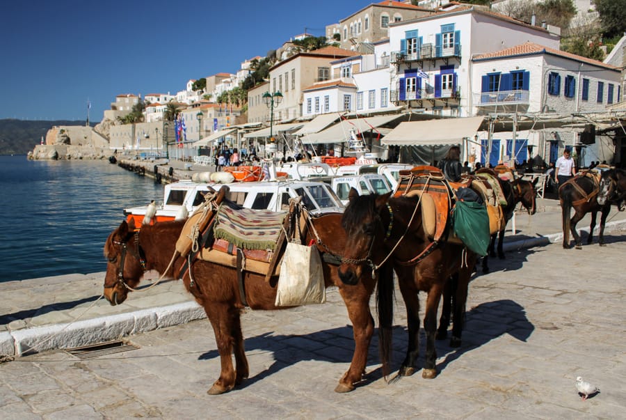 Best Things to Do in Hydra, Greece Food, Beaches, & More!