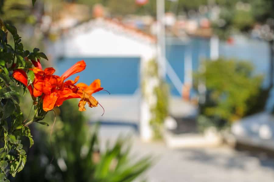 Spetses cafes Greece (things to do in Spetses)-7