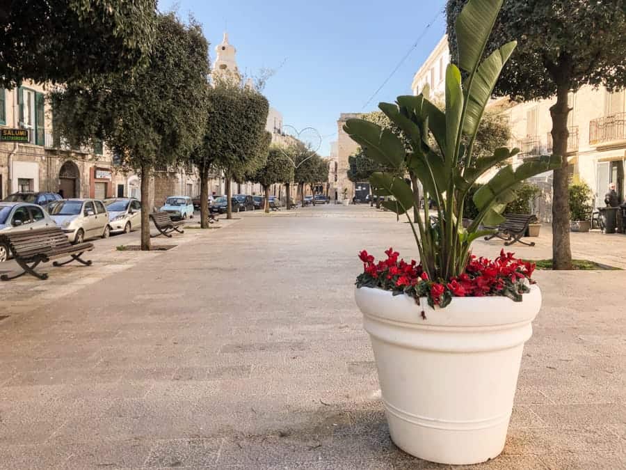 A quiet square in Trani, Italy