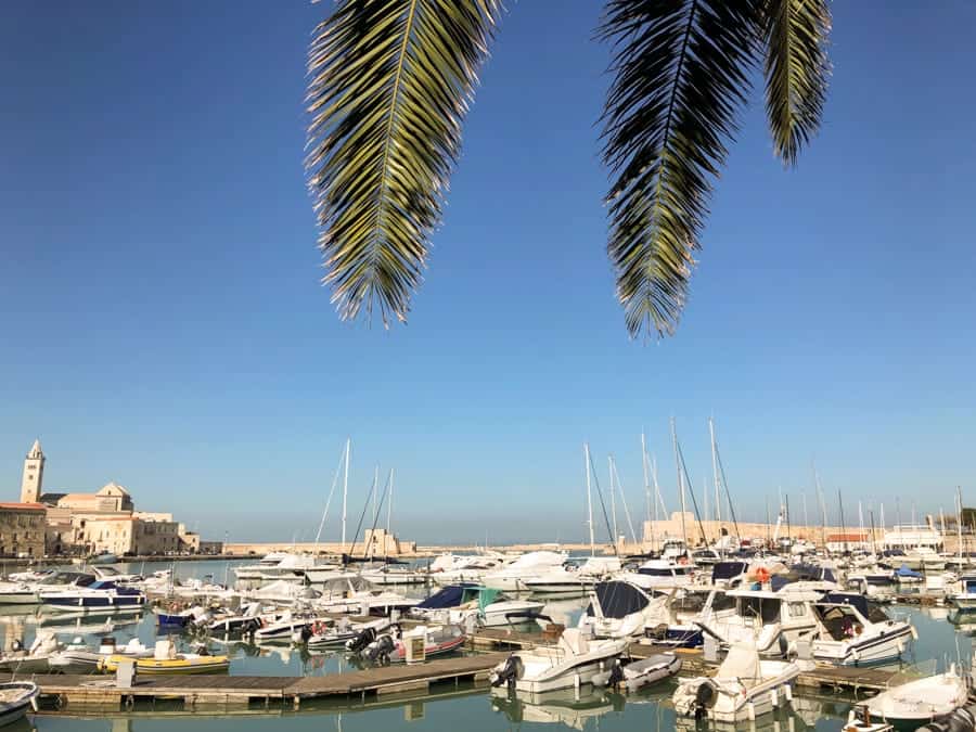 Port in Trani, Italy