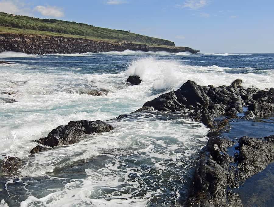 Snorkeling in the azores guide