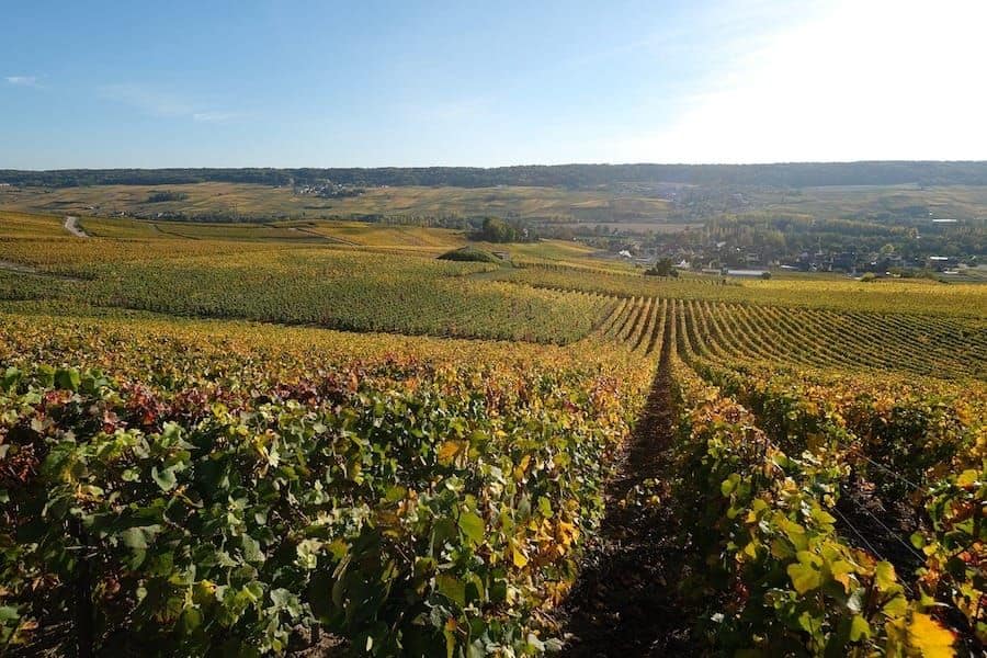 champagne tour belgium