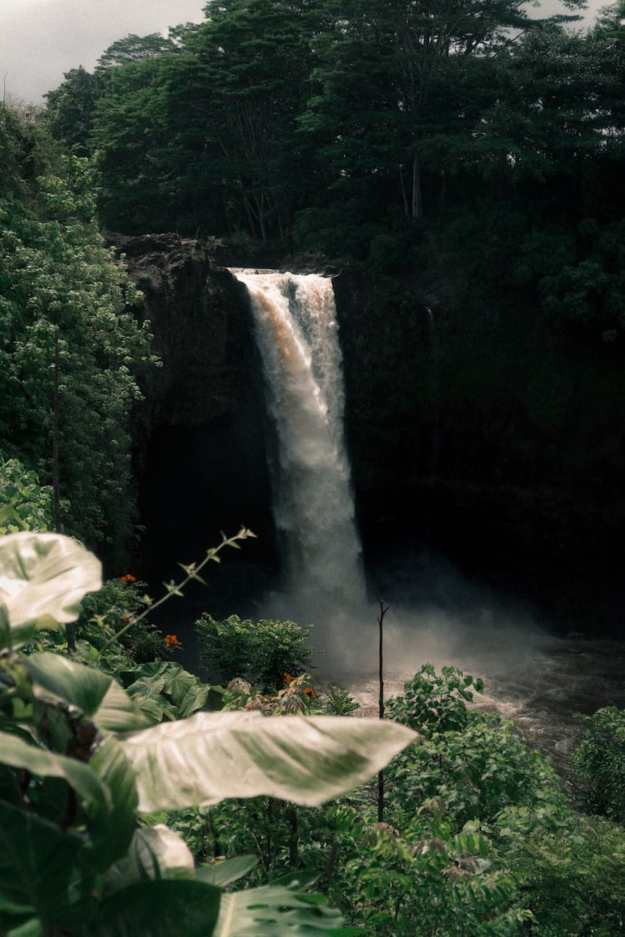 Rainbow Falls- Useful things to know before you visit the Big Island Hawaii