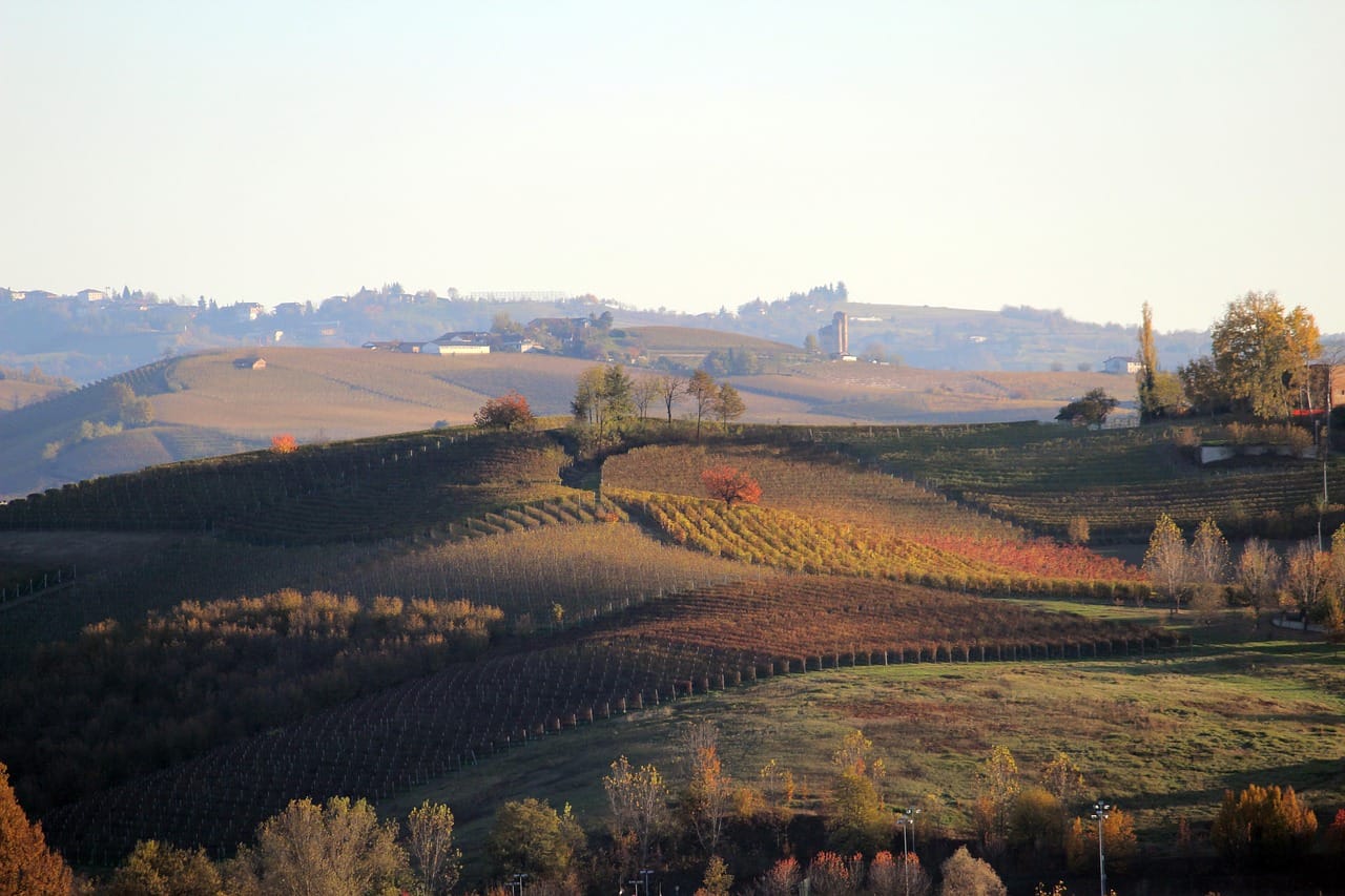 langhe day tour from milan