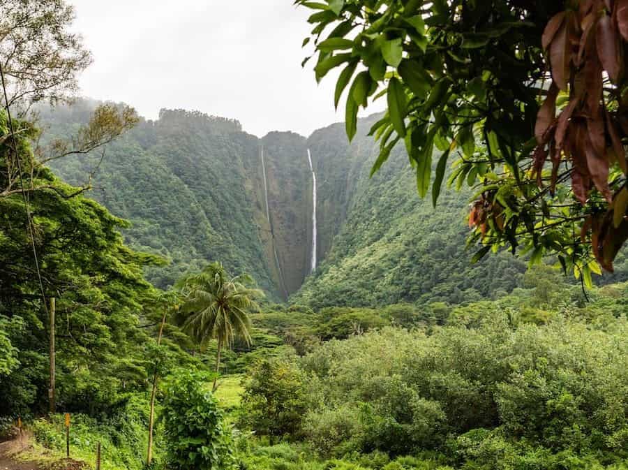 4 of the Best Big Island, Hawaii Golf Courses That You'll Love to Play