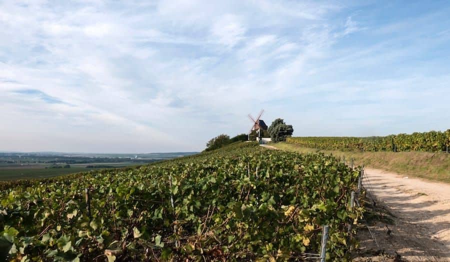 Best Champagne Tour in Reims Guide = Tastings and Tours