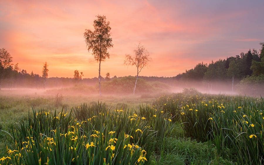 what to do in moscow