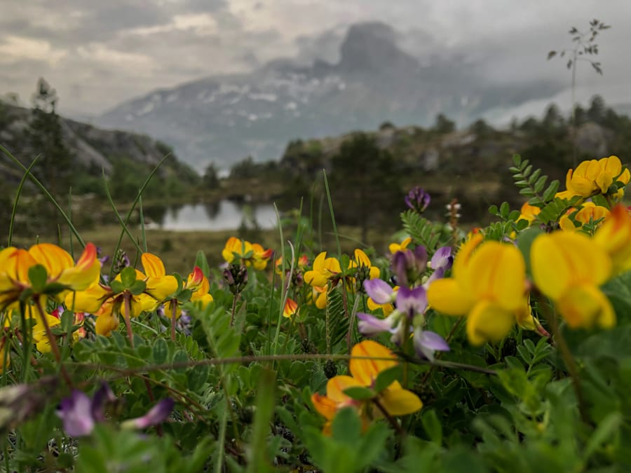 Sjunkhatten National Park near bodo norway-2