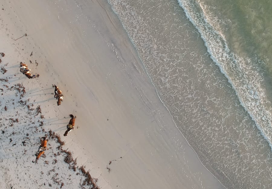 beach horseback riding lofoten