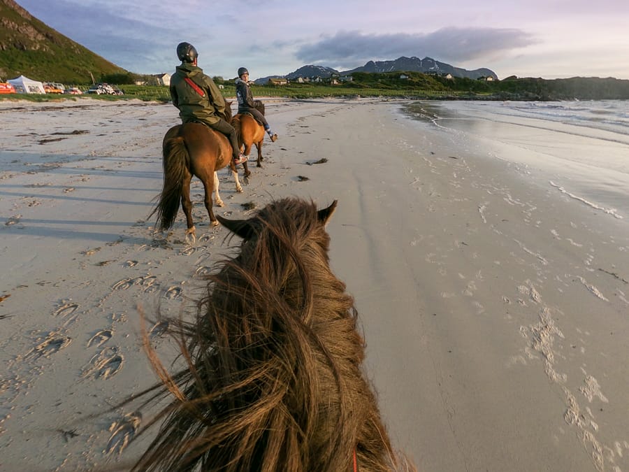 horseback riding in lofoten