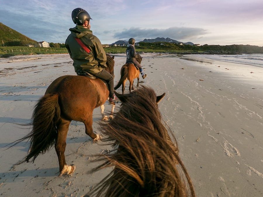 lofoten horseback riding