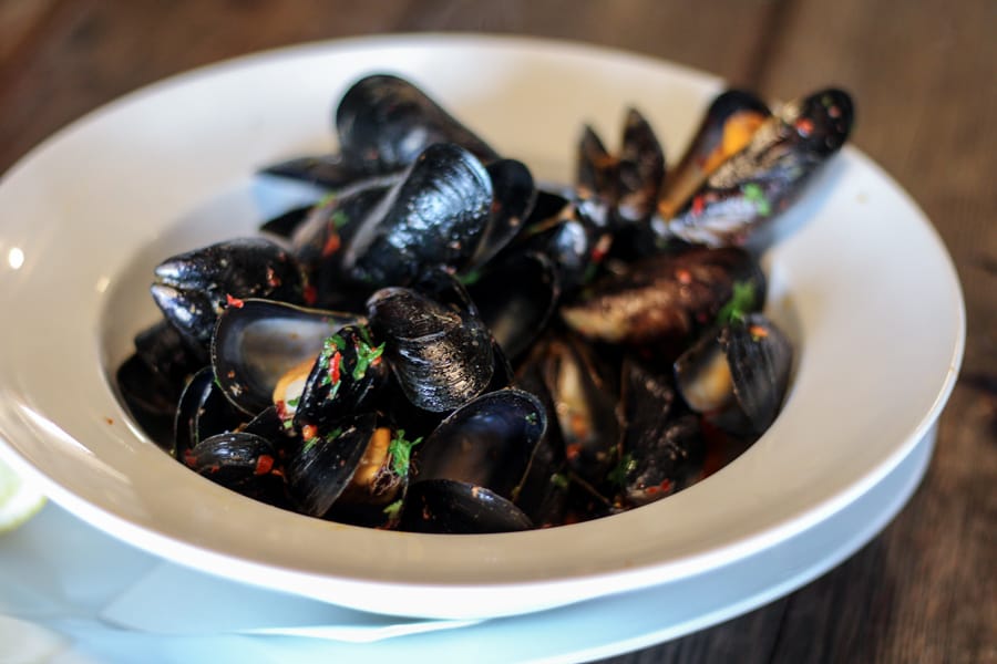 mussels on lofoten islands