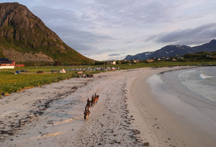 riding horses in lofoten islands