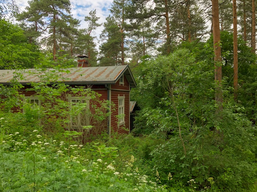 Forest Things to do in Tampere, Finland