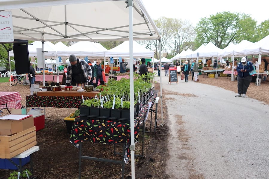 Green City Fresh Market