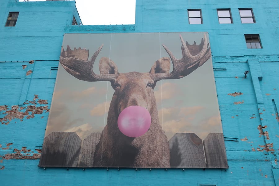 Moose Bubblegum Mural