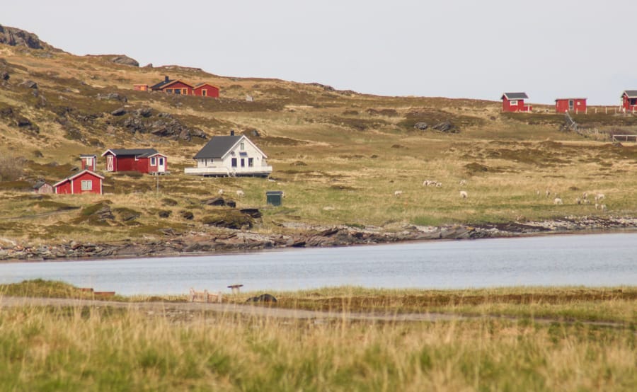 On the way to Stabbursdalen National Park in Norway from Honningsvåg and the North Cape-3