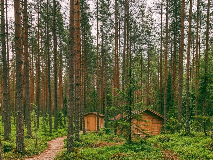 Parks in Tampere