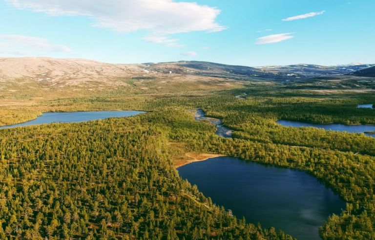 Stabbursdalen National Park in Norway from Honningsvåg and the North Cape-7