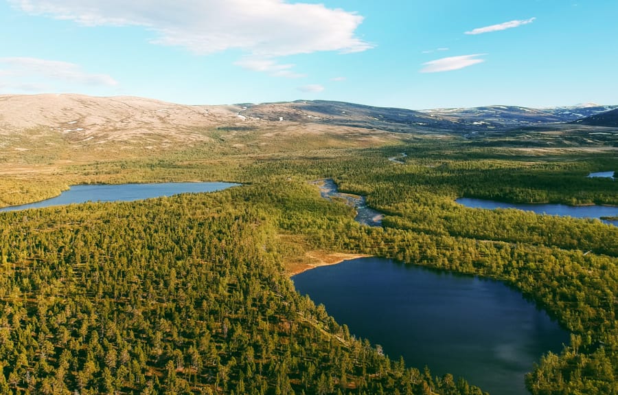 Stabbursdalen National Park in Norway from Honningsvåg and the North Cape-7