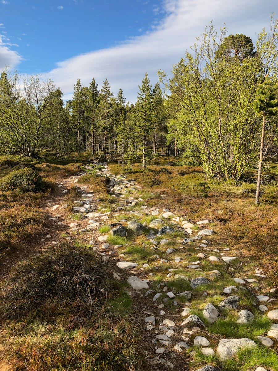 Stabbursdalen National Park in Norway from Honningsvåg and the North Cape-8