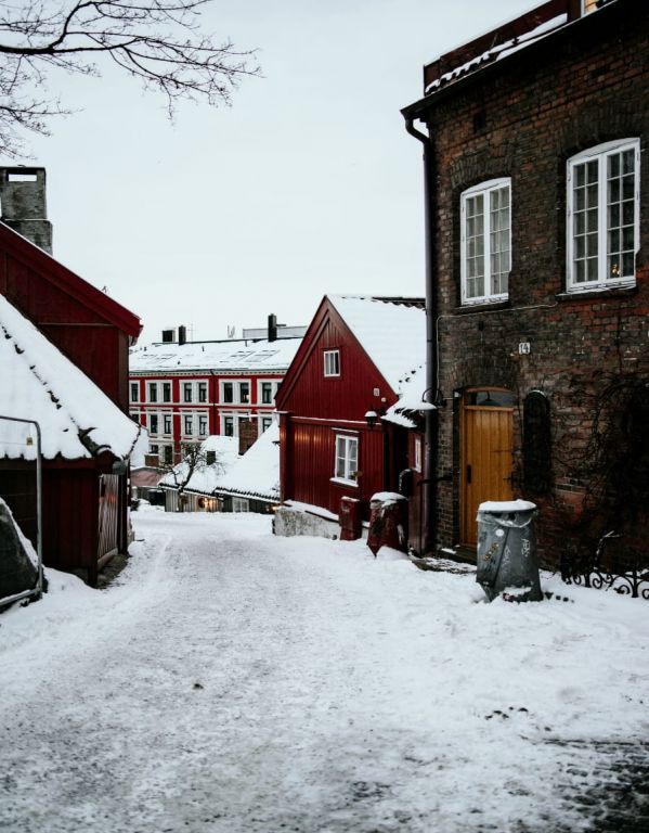 Things to do in Oslo in Winter-2