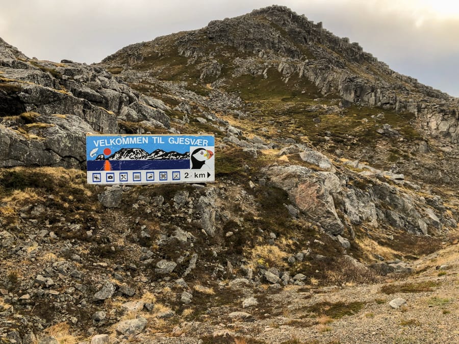 gjesvær bird safari nordkapp