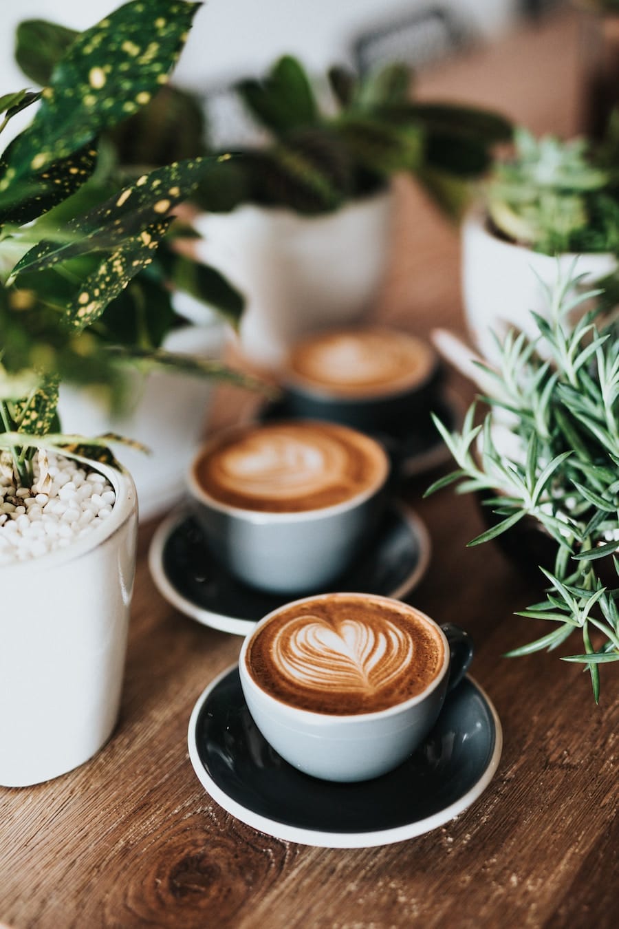 10 Best Coffee Shops in San Diego, CA