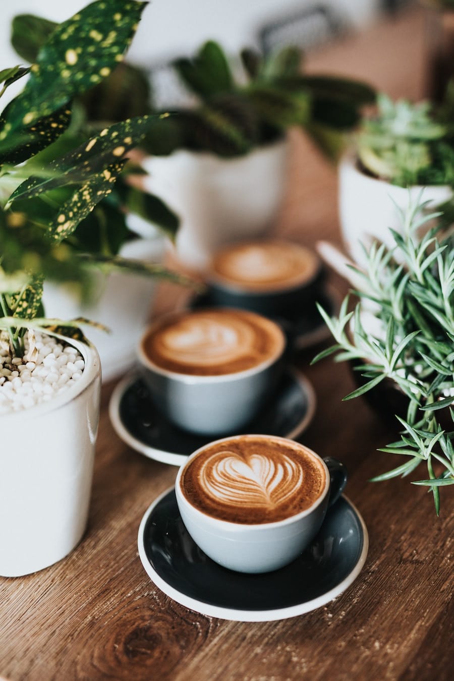 The Best Cafes and Coffee in San Diego, California