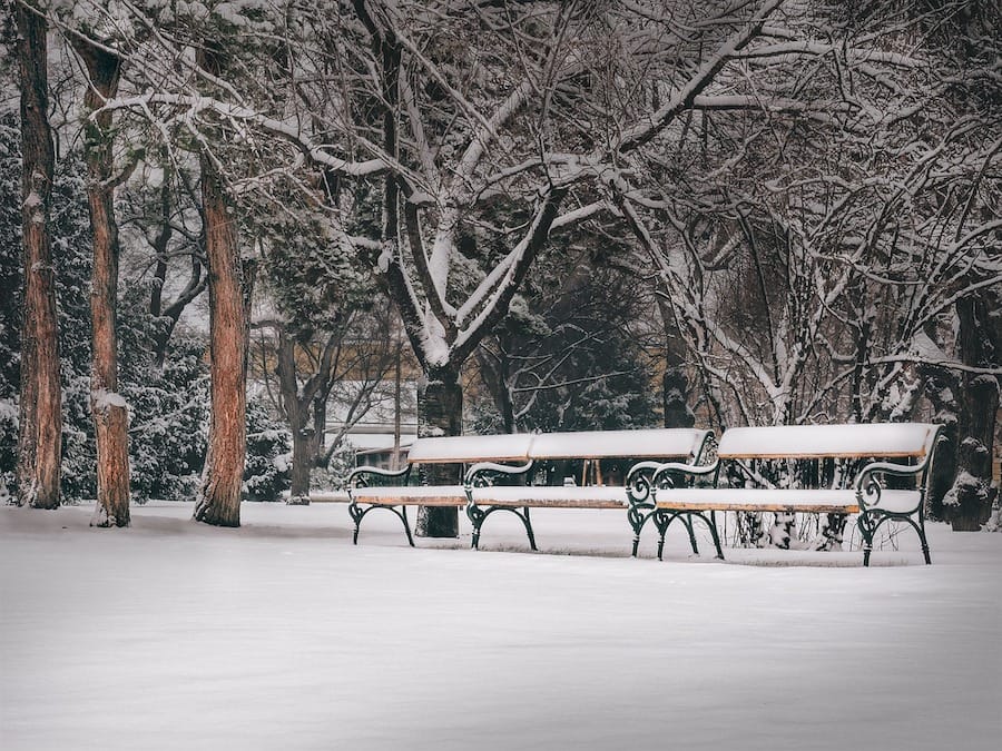 Vienna in winter