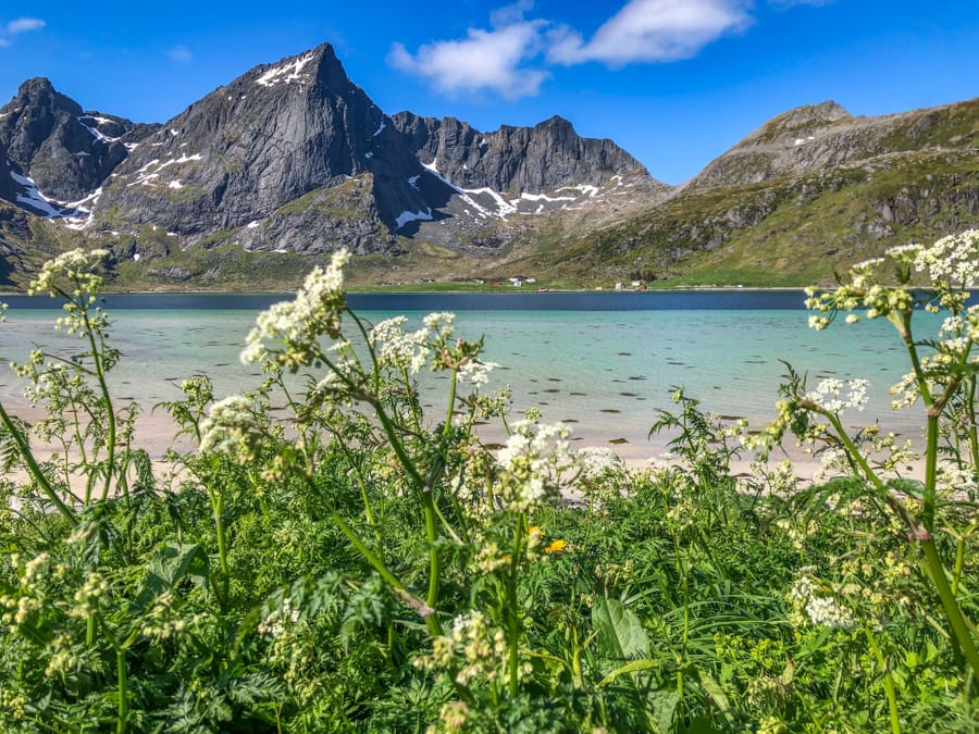 Things to know before your visit Lofoten Islands-64