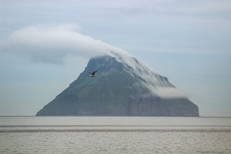 Litla Dimun in Faroe Islands ands seabirds