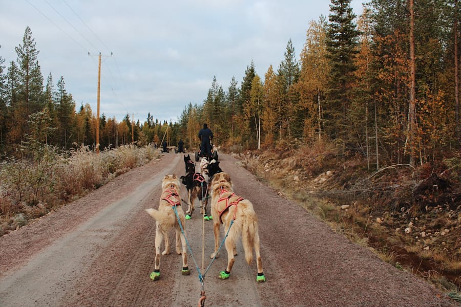9 Reasons Why You Should Visit Lapland in Autumn (Not Winter!)