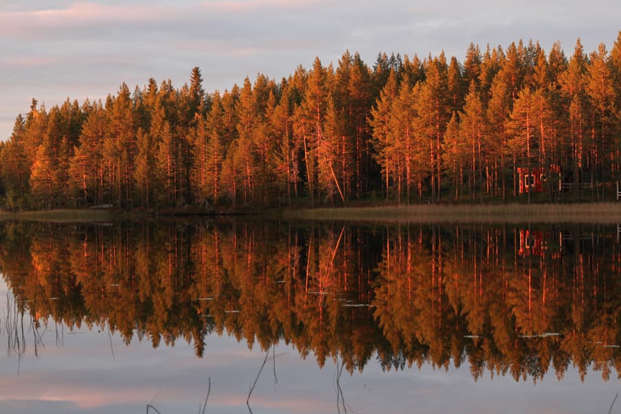 9 Reasons Why You Should Visit Lapland in Autumn (Not Winter!)