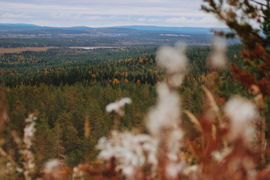 9 Reasons Why You Should Visit Lapland in Autumn (Not Winter!)