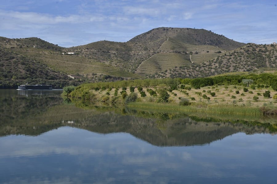Best Porto Wine Tours: Wine Tastings in Porto and the Douro Valley