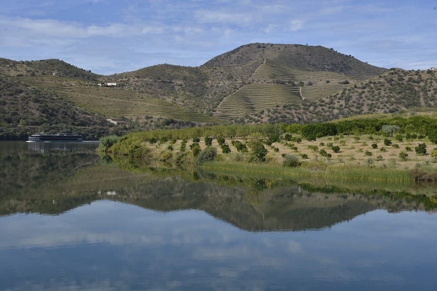 Best Porto Wine Tours: Wine Tastings in Porto and the Douro Valley